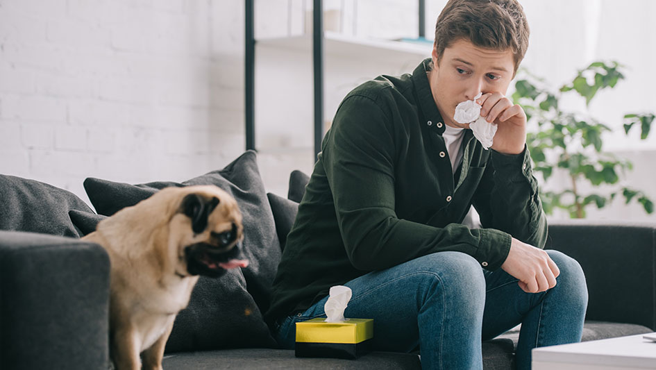 Getting an air purifier is one of the best methods to improve your home’s indoor air quality. Learn more about the three top products. 